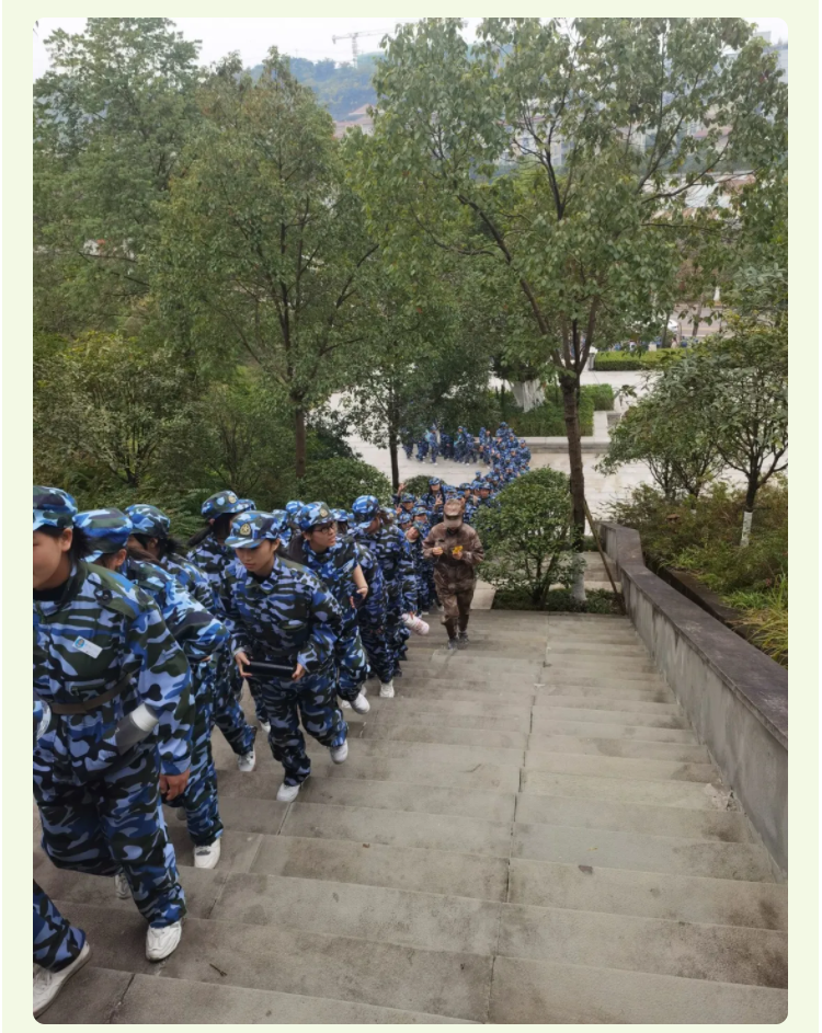 11.png